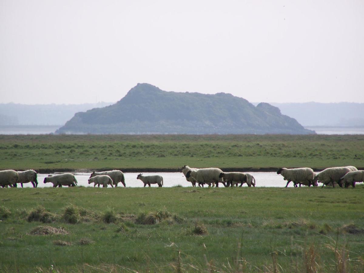 Charmante Maison De Pecheur En Baie Du Mont Saint Michel Genêts Dış mekan fotoğraf